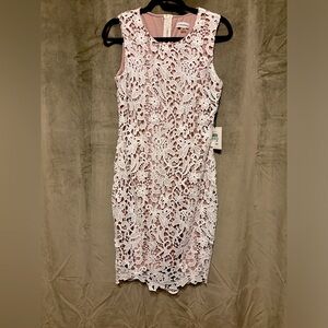 BNWT Calvin Klein White Lace Midi Dress Size 8